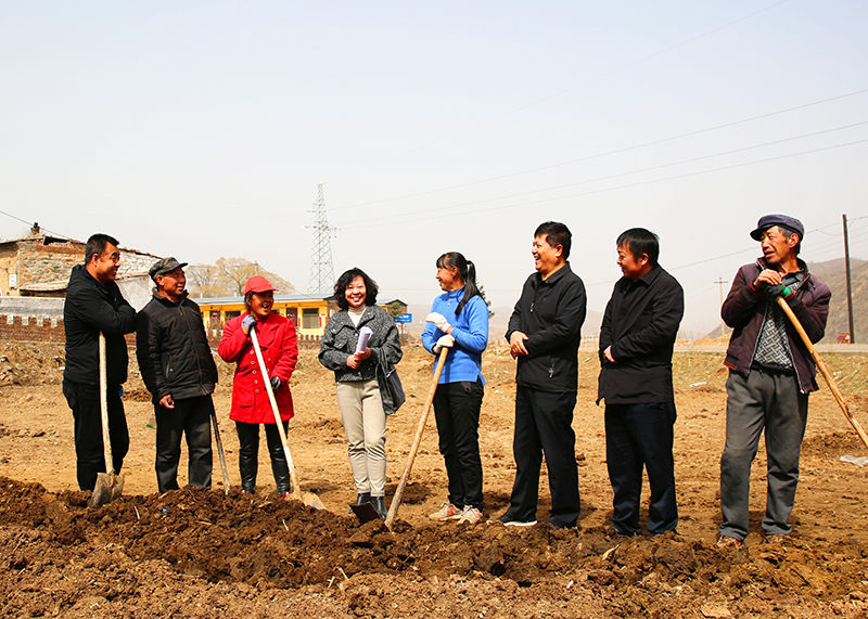 �h�n�v�����g���^��2��