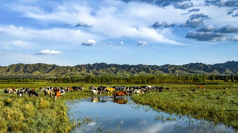 ɽ��ʡPM2.5����״��~�M��30+�� ���F�vʷ��ͻ�ơ�2��