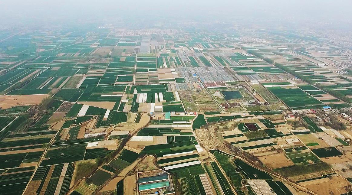 秦壁村田園風光無限現在的秦壁，四季有花，全年常綠，農家庭院，整潔有序，村里村外，文明成風。