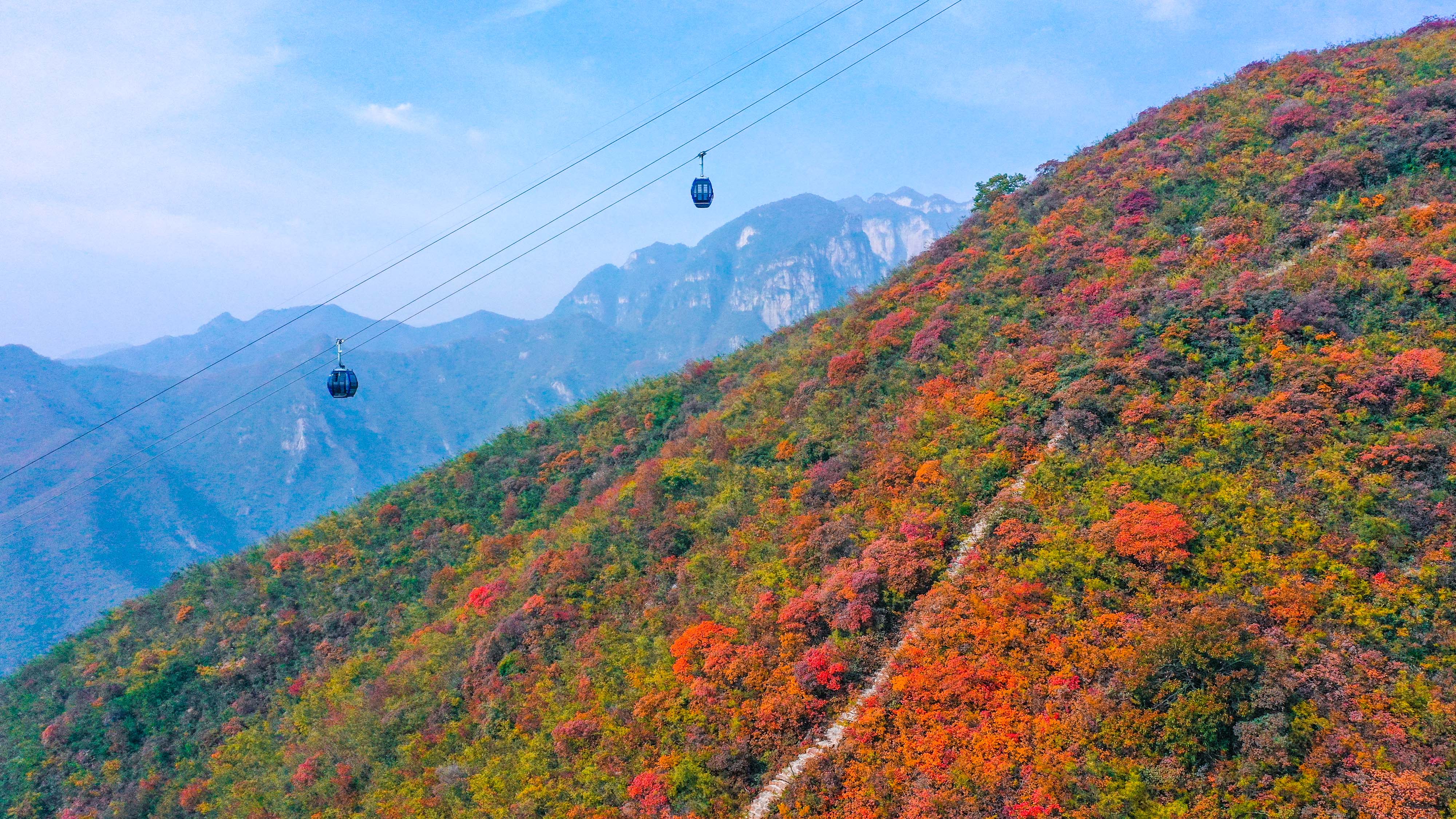 云臺山萬畝彩林秋意濃。景區供圖