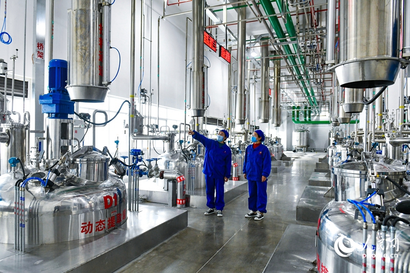 配方顆粒智能車間，中藥可實現自動化高效提取。人民網 程明輝攝