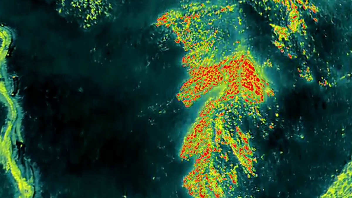 利用無人機熱成像功能對余火進行溫度排查。人民網記者王帆攝