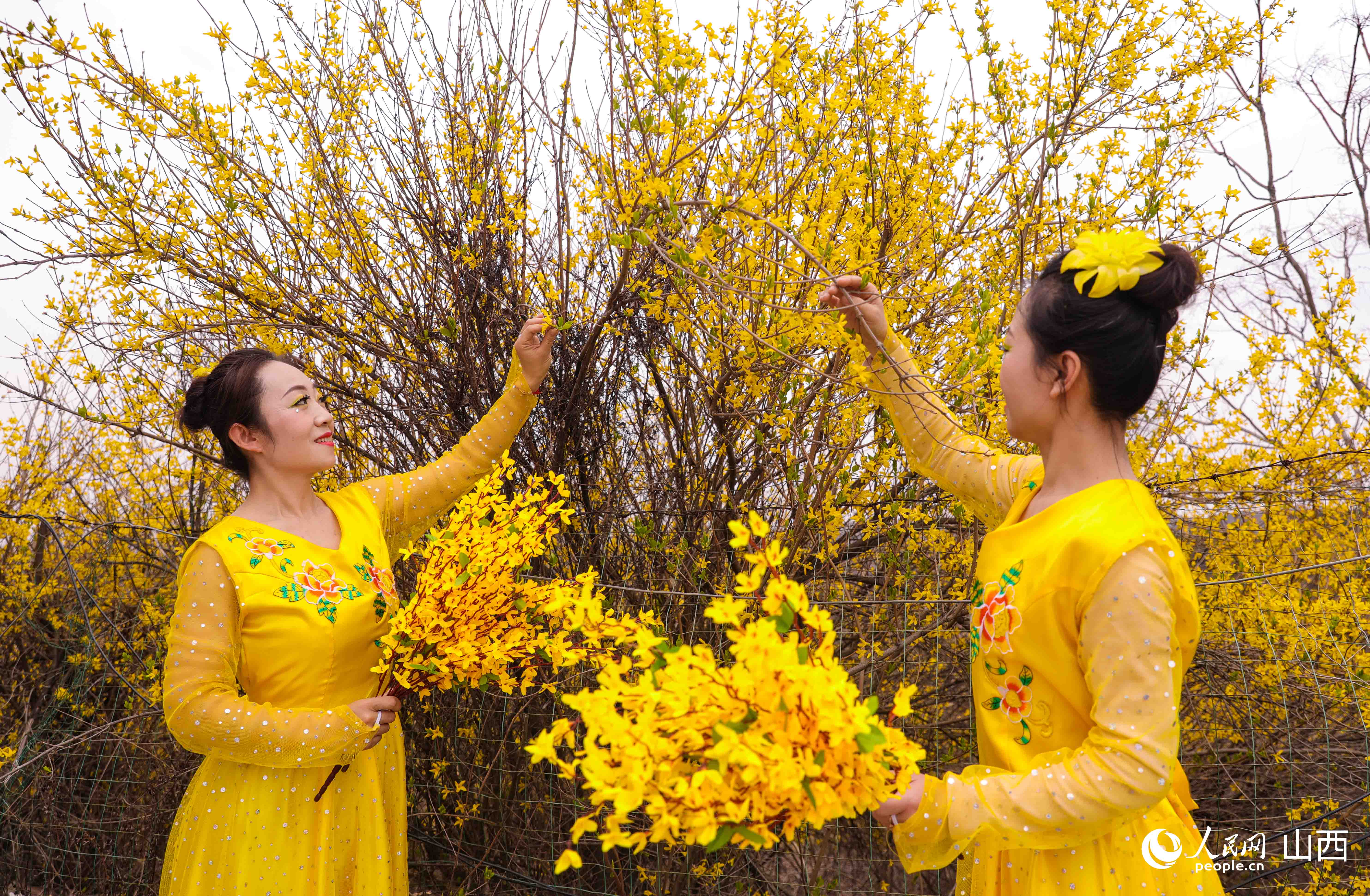 穿著“連翹”元素服裝的表演者。