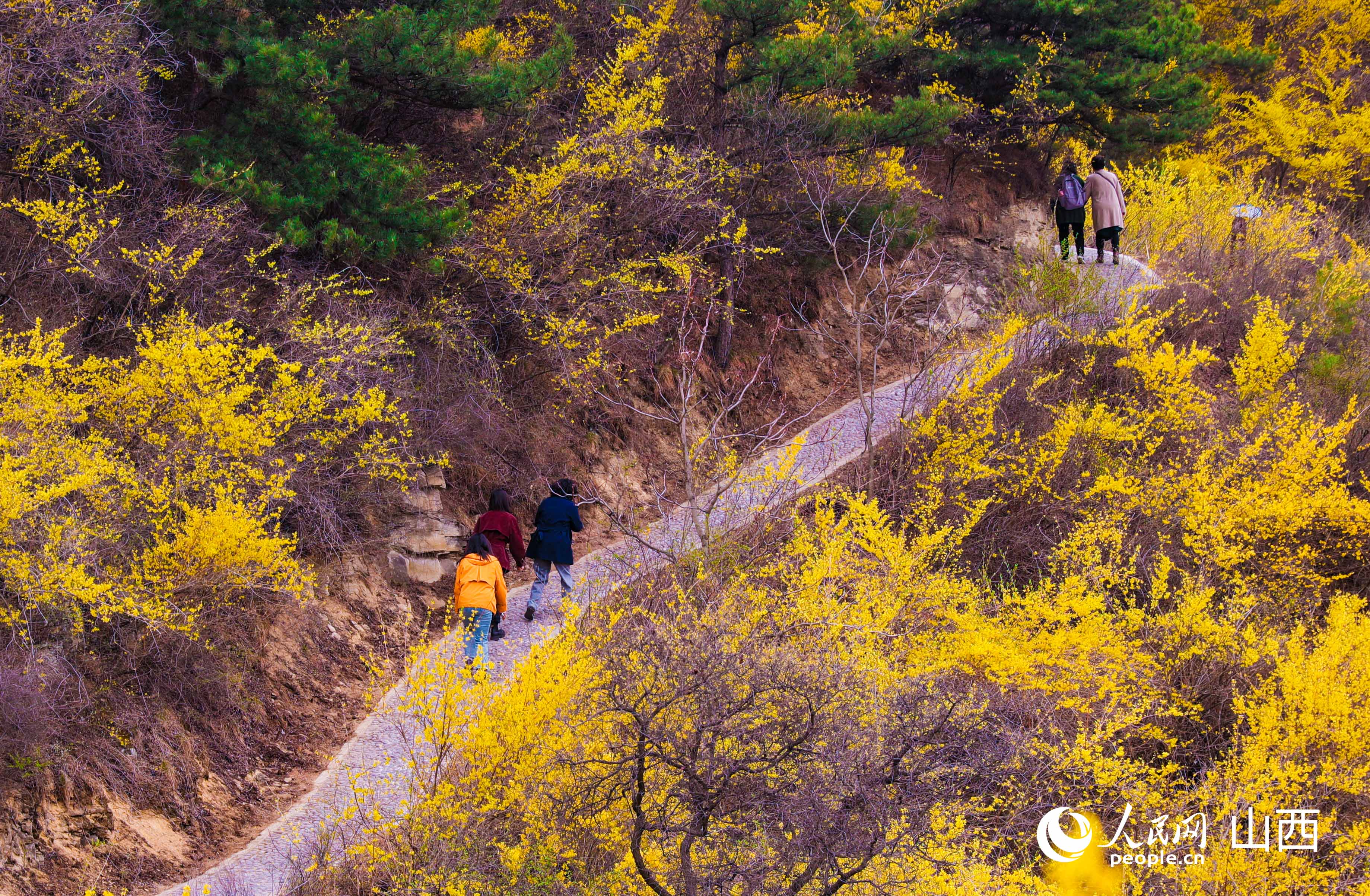 置身于黃花嶺景區的游客。