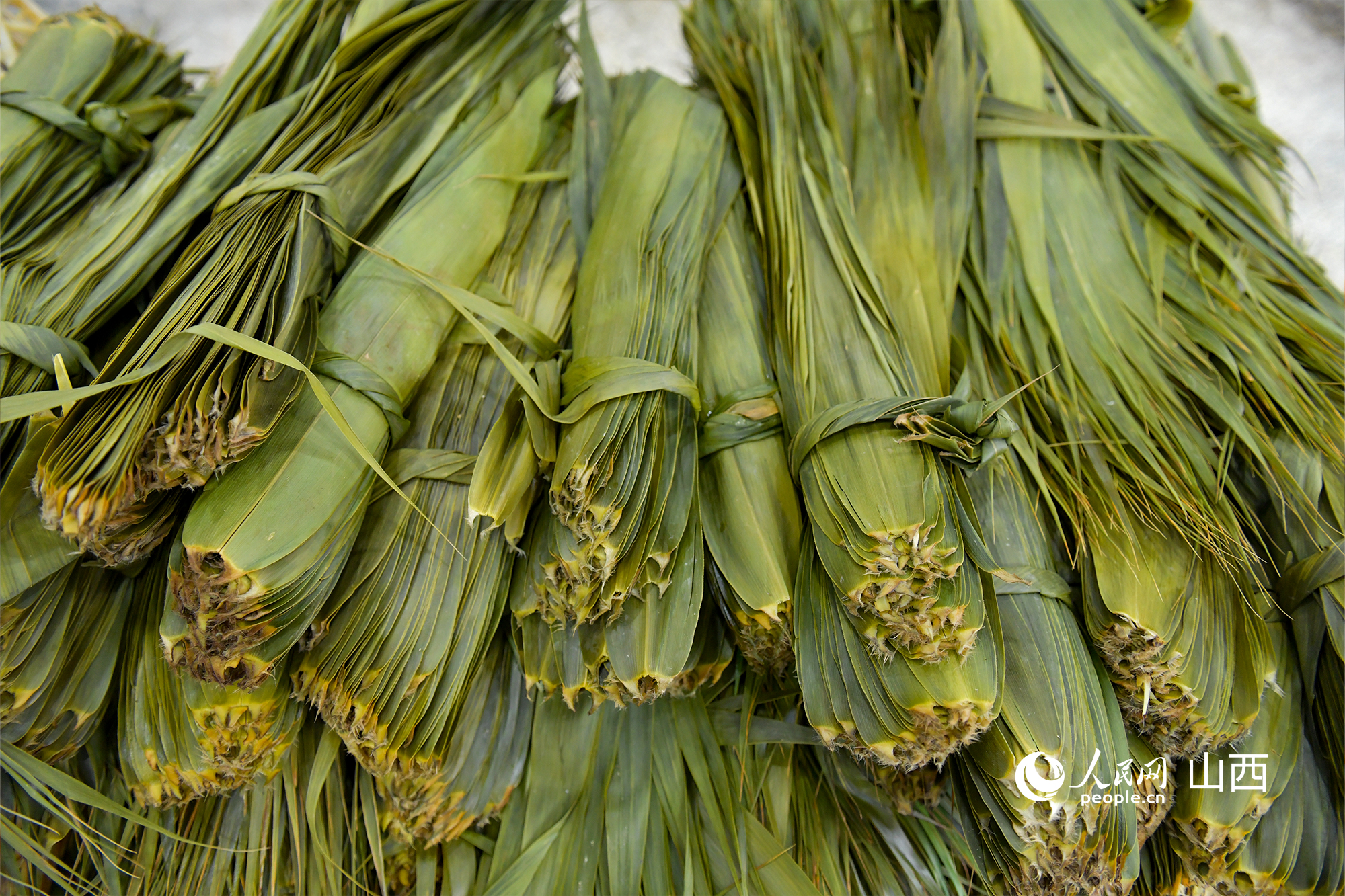 煮好的粽葉。