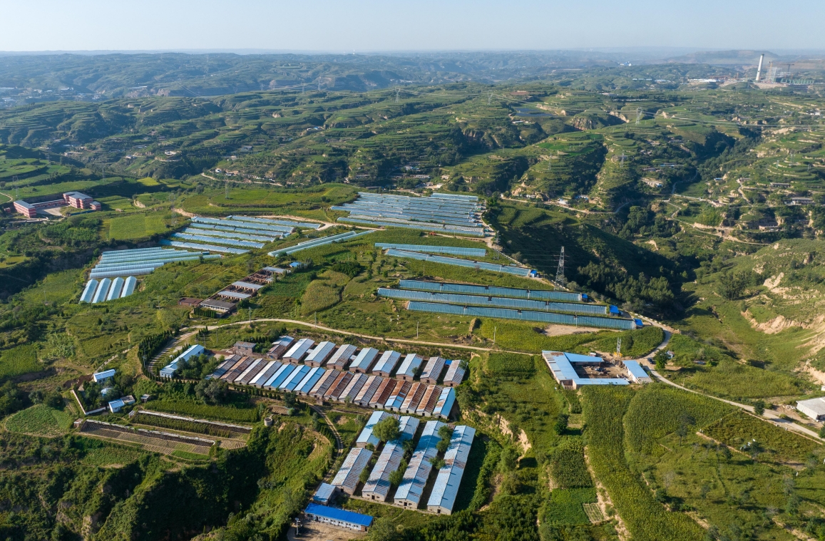 暖泉村大棚航拍。受訪者供圖