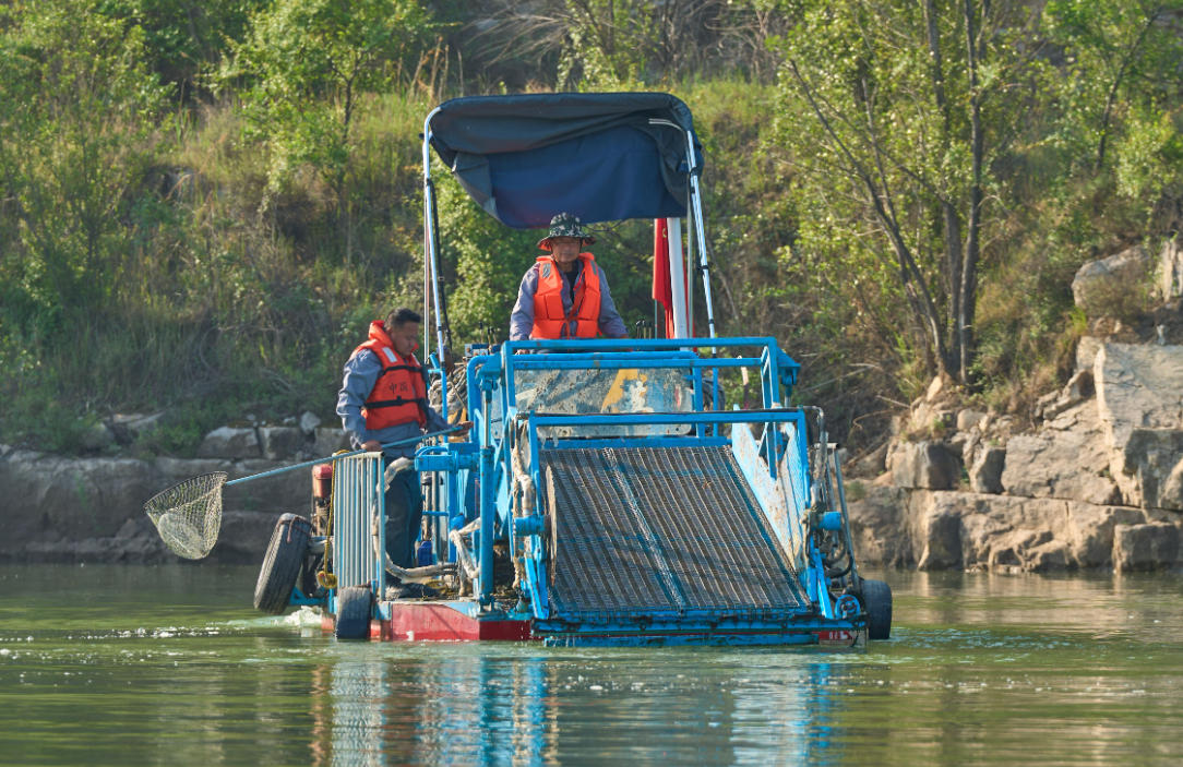 清漂打撈隊員正在工作。