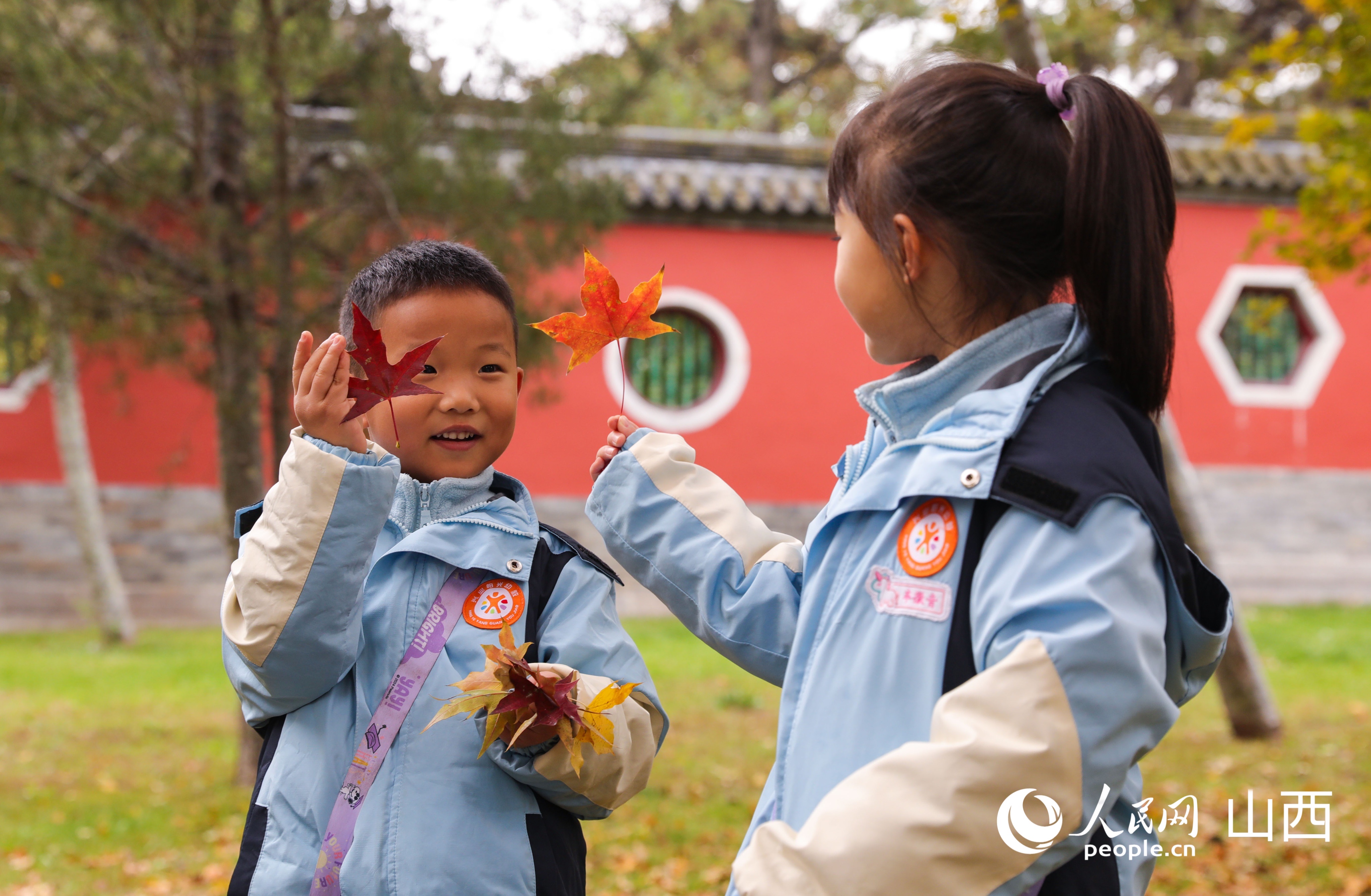 兒童撿拾楓葉。人民網記者 王帆攝